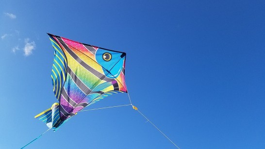 kite-2160948_960_720